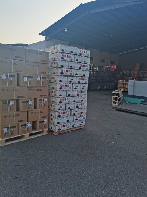 行李 包裹托運 上門服務(wù) 口碑好