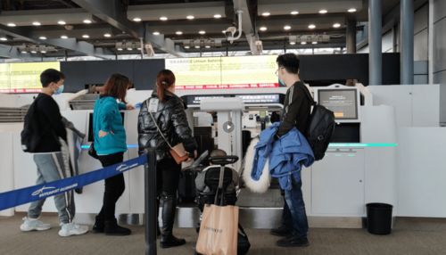 春運保障 白云信科可切換行李托運設(shè)備投用,為白云機(jī)場春運保駕護(hù)航