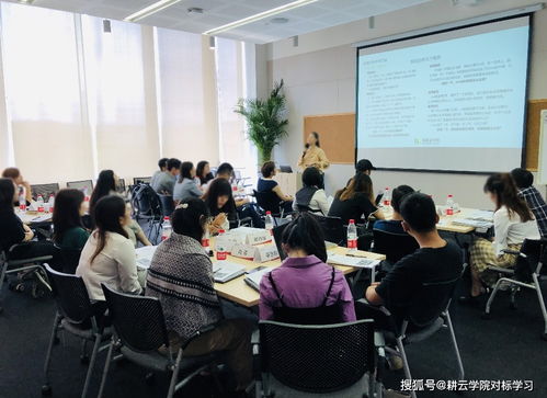對(duì)標(biāo)阿里巴巴 打造銷售鐵軍的企業(yè)管理咨詢策略